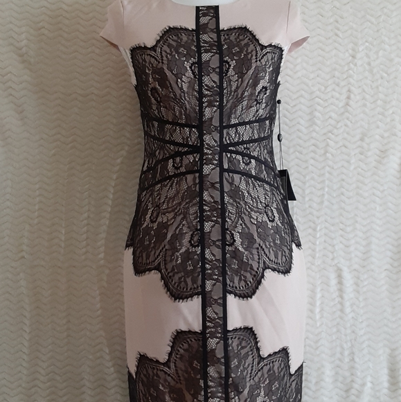 Adrianna Papell Dresses & Skirts - Adrianna papell sheath dress Size 4P New $30